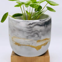 WIND + WILLOW CONCRETE DECOR