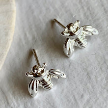 PIKA & BEAR STUDS